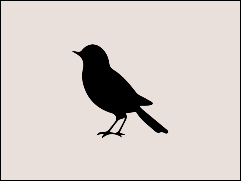 Hello! Welcome to Blackbird&nbsp;Counseling